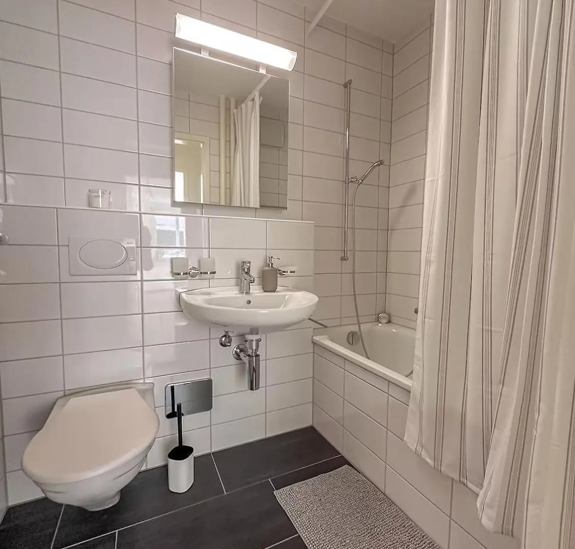 Central Studio Apartment With Free Baselcard - Picasso  Bazylea